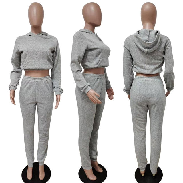 hirigin Sporty 2 Piece Set Hoodies and Sweatpants Fall Winter Clothes Women Two Piece Outfits Casual Tracksuits Sweatsuits - A Woman Knows Best